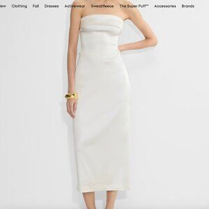 Aritzia Ten Exclusive Satin Dress